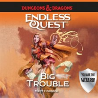 Dungeons___Dragons__Big_Trouble__An_Endless_Quest_Book